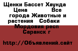 Щенки Бассет Хаунда  › Цена ­ 25 000 - Все города Животные и растения » Собаки   . Мордовия респ.,Саранск г.